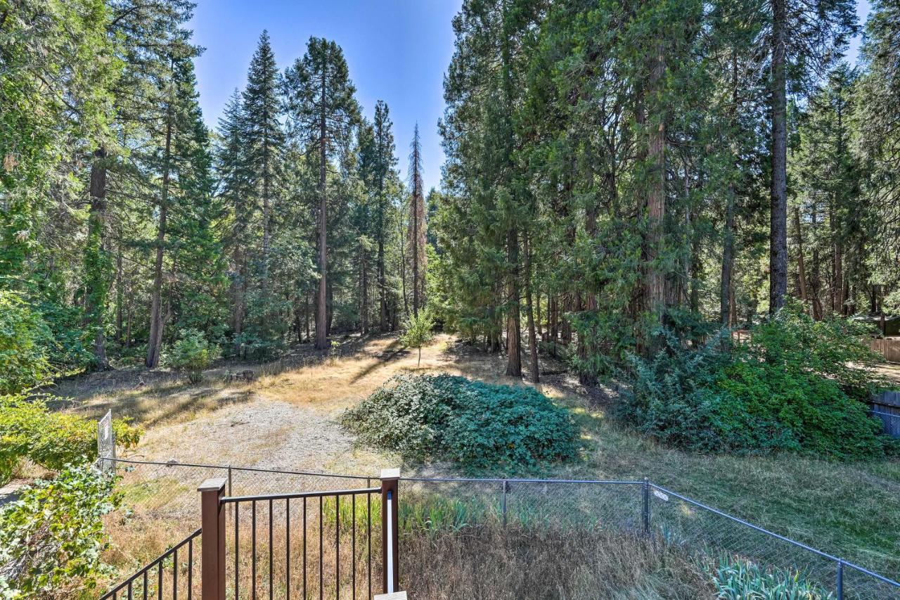 Nevada City Retreat Near Hiking And Yuba River! Экстерьер фото
